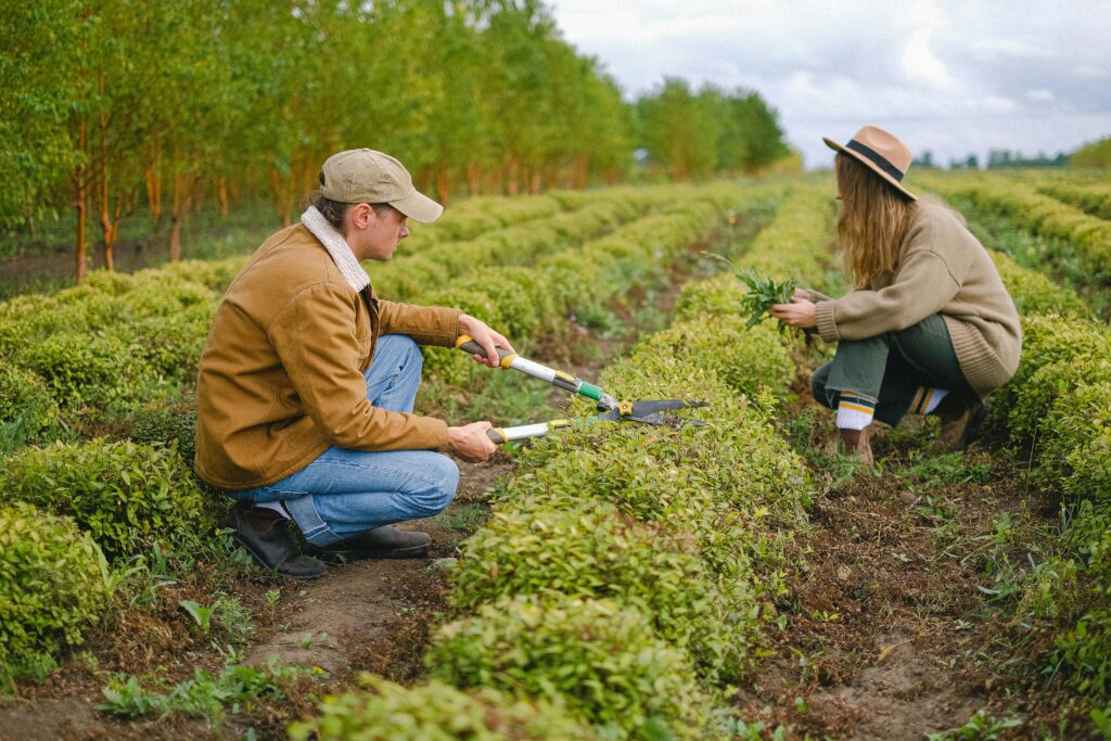 Why Licensed and Insured Staffing Matters for Your Business